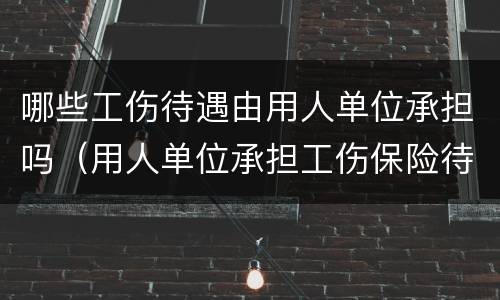 哪些工伤待遇由用人单位承担吗（用人单位承担工伤保险待遇）