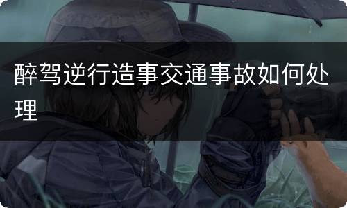醉驾逆行造事交通事故如何处理