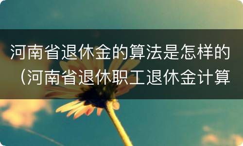 河南省退休金的算法是怎样的（河南省退休职工退休金计算方法）