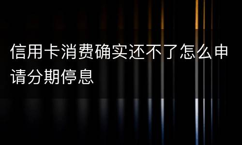 信用卡消费确实还不了怎么申请分期停息