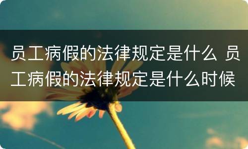 员工病假的法律规定是什么 员工病假的法律规定是什么时候实施
