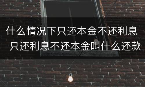 什么情况下只还本金不还利息 只还利息不还本金叫什么还款方式