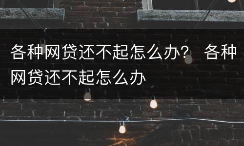 各种网贷还不起怎么办？ 各种网贷还不起怎么办