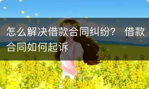 怎么解决借款合同纠纷？ 借款合同如何起诉