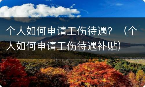 个人如何申请工伤待遇？（个人如何申请工伤待遇补贴）