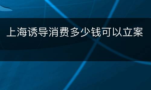 上海诱导消费多少钱可以立案