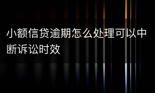 小额信贷逾期怎么处理可以中断诉讼时效