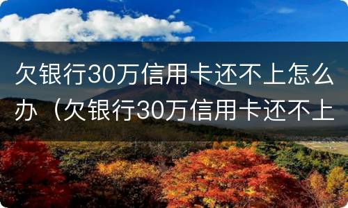 欠银行30万信用卡还不上怎么办（欠银行30万信用卡还不上怎么办呀）