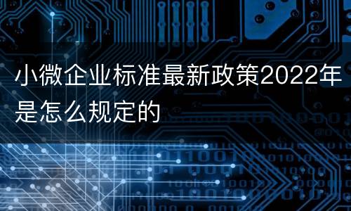 小微企业标准最新政策2022年是怎么规定的