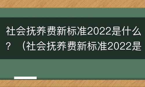 社会抚养费新标准2022是什么？（社会抚养费新标准2022是什么标准）