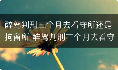 醉驾判刑三个月去看守所还是拘留所 醉驾判刑三个月去看守所还是拘留所呢