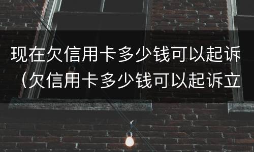 现在欠信用卡多少钱可以起诉（欠信用卡多少钱可以起诉立案）