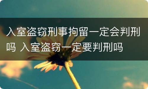 入室盗窃刑事拘留一定会判刑吗 入室盗窃一定要判刑吗
