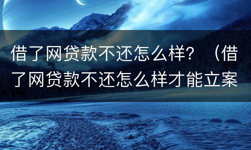 借了网贷款不还怎么样？（借了网贷款不还怎么样才能立案）