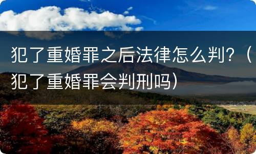 犯了重婚罪之后法律怎么判?（犯了重婚罪会判刑吗）