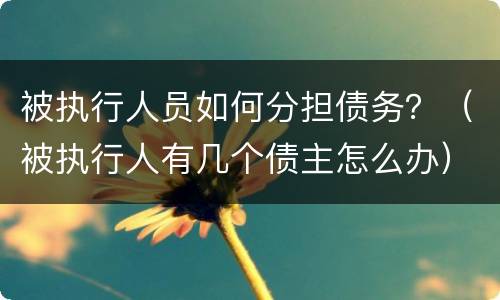 被执行人员如何分担债务？（被执行人有几个债主怎么办）