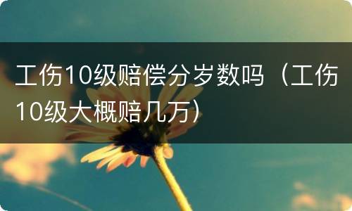 工伤10级赔偿分岁数吗（工伤10级大概赔几万）