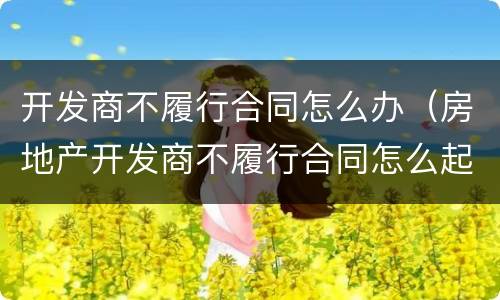 开发商不履行合同怎么办（房地产开发商不履行合同怎么起诉）