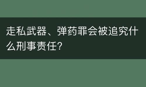 走私武器、弹药罪会被追究什么刑事责任?