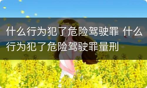 什么行为犯了危险驾驶罪 什么行为犯了危险驾驶罪量刑