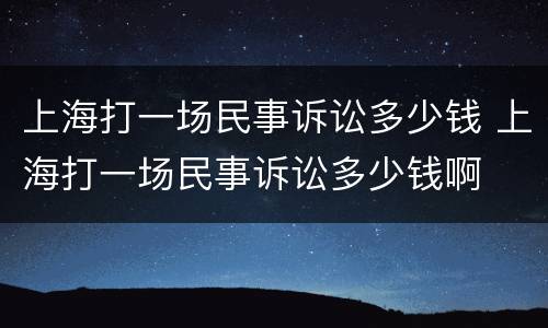 上海打一场民事诉讼多少钱 上海打一场民事诉讼多少钱啊