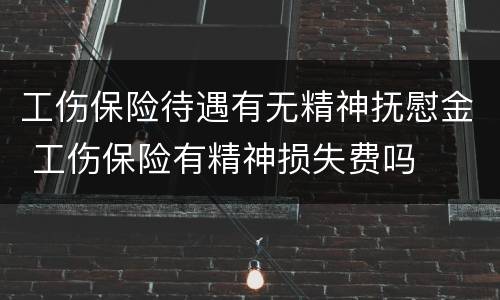 工伤保险待遇有无精神抚慰金 工伤保险有精神损失费吗
