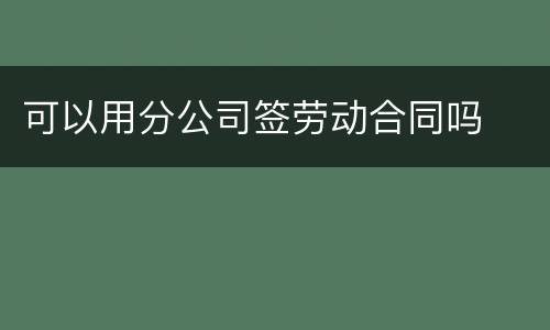 可以用分公司签劳动合同吗