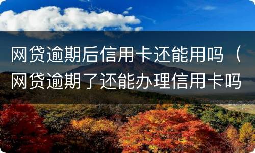 网贷逾期后信用卡还能用吗（网贷逾期了还能办理信用卡吗）