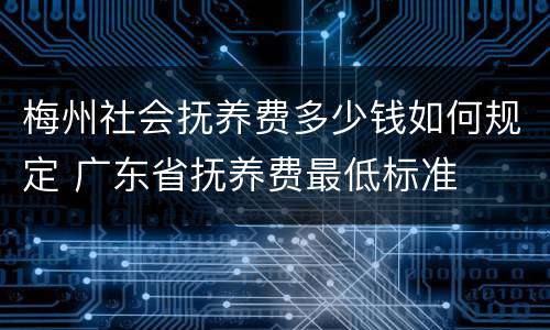 梅州社会抚养费多少钱如何规定 广东省抚养费最低标准
