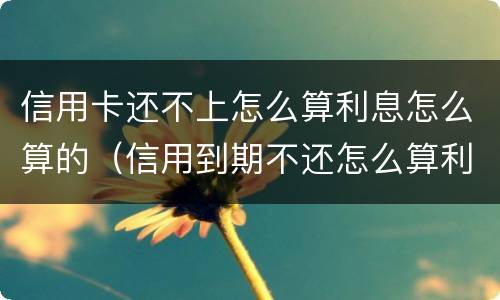 信用卡还不上怎么算利息怎么算的（信用到期不还怎么算利息）