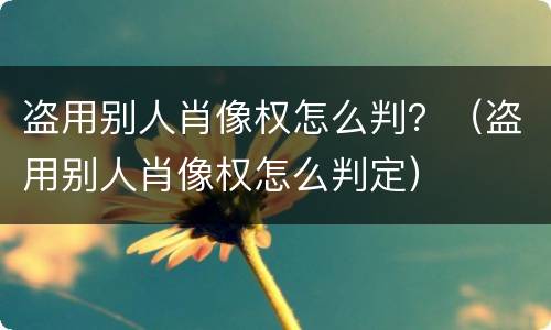 盗用别人肖像权怎么判？（盗用别人肖像权怎么判定）