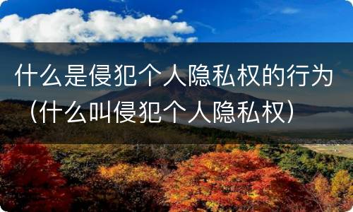 什么是侵犯个人隐私权的行为（什么叫侵犯个人隐私权）