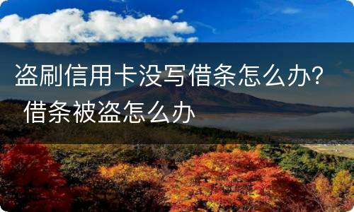 盗刷信用卡没写借条怎么办？ 借条被盗怎么办