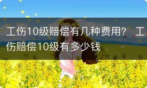 工伤10级赔偿有几种费用？ 工伤赔偿10级有多少钱