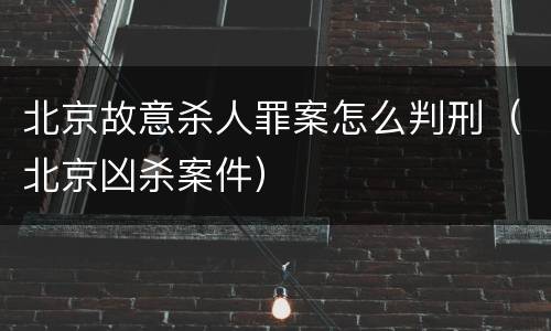 北京故意杀人罪案怎么判刑（北京凶杀案件）