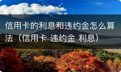 信用卡的利息和违约金怎么算法（信用卡 违约金 利息）