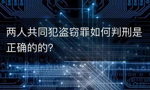 两人共同犯盗窃罪如何判刑是正确的的？