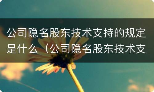 公司隐名股东技术支持的规定是什么（公司隐名股东技术支持的规定是什么呢）