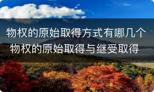 物权的原始取得方式有哪几个 物权的原始取得与继受取得
