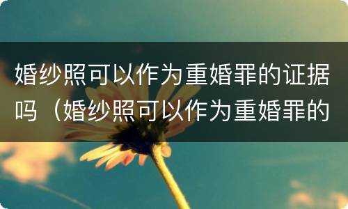 婚纱照可以作为重婚罪的证据吗（婚纱照可以作为重婚罪的证据吗为什么）
