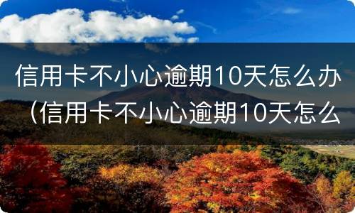 信用卡不小心逾期10天怎么办（信用卡不小心逾期10天怎么办呢）