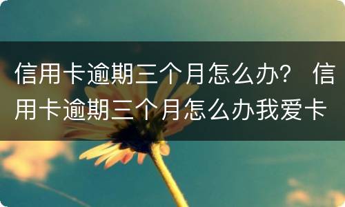 信用卡逾期三个月怎么办？ 信用卡逾期三个月怎么办我爱卡