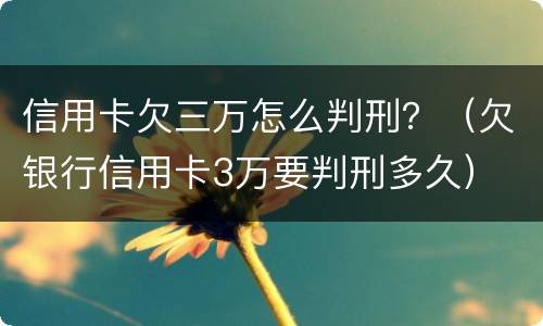 信用卡欠三万怎么判刑？（欠银行信用卡3万要判刑多久）