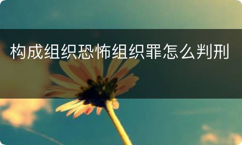 构成组织恐怖组织罪怎么判刑