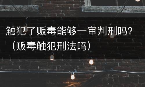 触犯了贩毒能够一审判刑吗？（贩毒触犯刑法吗）