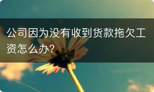 公司因为没有收到货款拖欠工资怎么办？