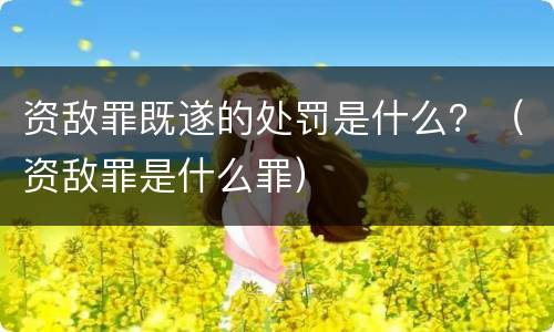 资敌罪既遂的处罚是什么？（资敌罪是什么罪）