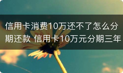 信用卡消费10万还不了怎么分期还款 信用卡10万元分期三年,月还多少