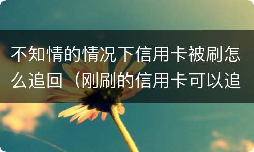 不知情的情况下信用卡被刷怎么追回（刚刷的信用卡可以追回吗）