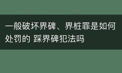 一般破坏界碑、界桩罪是如何处罚的 踩界碑犯法吗